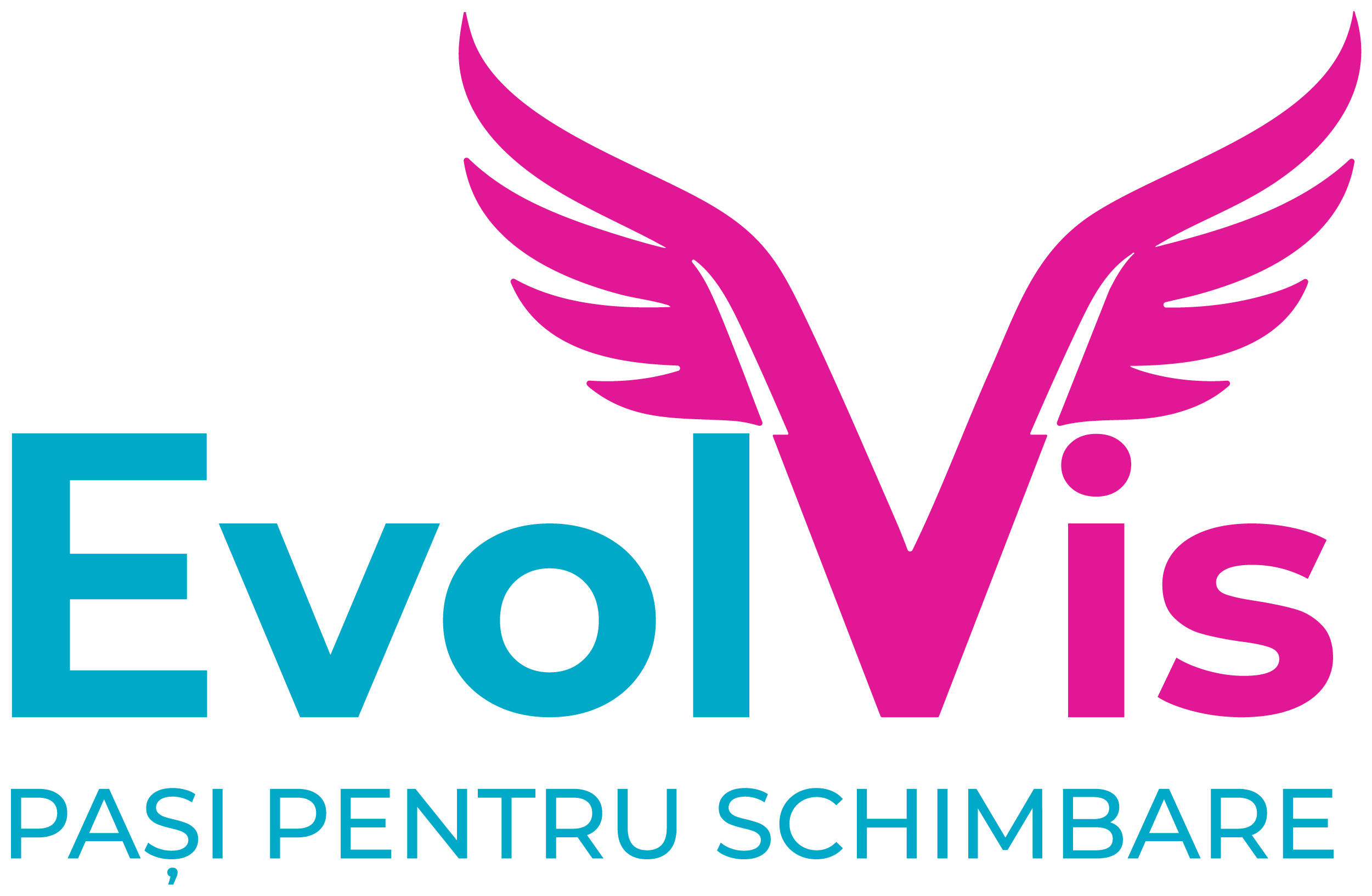 EvolVis - Pași pentru Schimbare